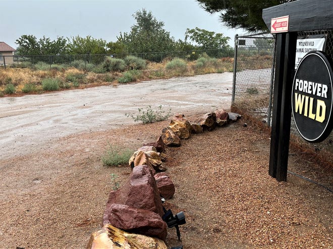 Road conditions got slippery out on Buttemere Road in Phelan and other areas in the High Desert on Aug. 20,  2023, as tropical storm Hilary rolled into the region.